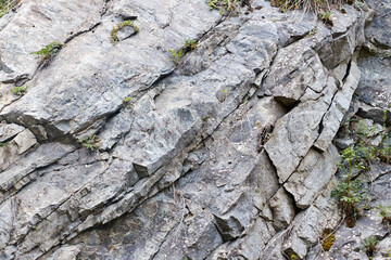 granite rock overgrown with grass. natural rock background