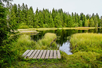 Fototapeta premium étang de la gruère, la gruère, See, Moorsee, Moor, Holzsteg, Hochmoor, Wanderweg, Spazierweg, Wald, Waldweg, Wasserpflanzen, Torfmoos, Jura, Naturschutz, Sommer, Herbst, Herbstfarben, Schweiz