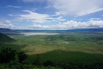 Spectacular view onto the lush vegetation around Lake Magadi, Ngorongoro Crater