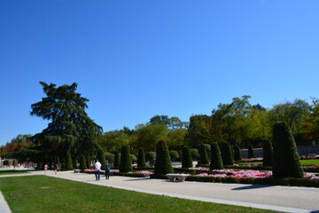 people walking in the park