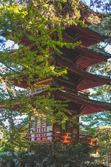 Padoga of Japanese Tea Garden in Golden Gate Park, San Francisco, California, USA