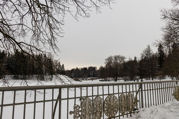 Winter landscapes of Pavlovsky Park