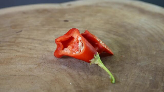 Rotation of the inside of a Mad Hatter Pepper, Capsicum Baccatum