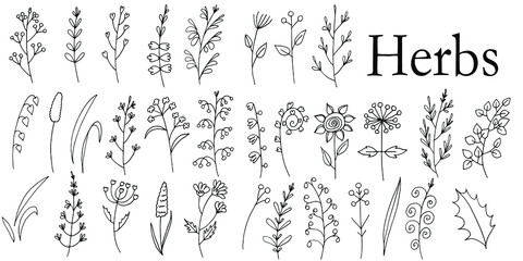 A large set of hand-drawn vector flowers and branches with leaves, flowers, berries. Collection of flower sketches. Decorative elements for design