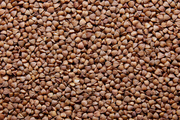 buckwheat background Close-up buckwheat background. Buckwheat woke up