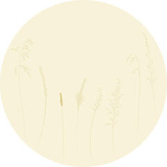 Grass of meadows and fields for medicines, flat sketch of plants in gentle brown shades. Template for label, cover or web screensaver.