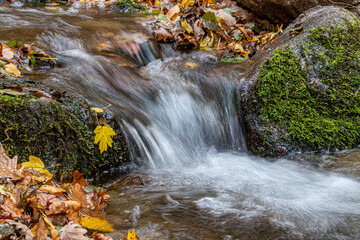 Fototapeta na wymiar waterfall in autumn forest, Mala Fatra, Slovakia, Europe