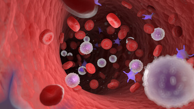 3d rendered illustration of white blood cells