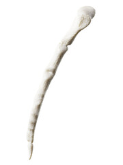 Obraz premium 3d rendered illustration of breast bone