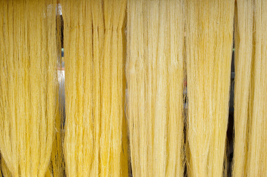 Silk fiber,Details of natural colourful silk thread fiber with natural colour dye process. Traditional sericulture Thai silk making in Countryside