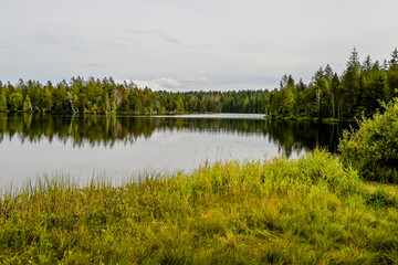 étang de la gruère, la gruère, See, Moorsee, Moor, Hochmoor, Wanderweg, Spazierweg, Wald, Waldweg, Wasserpflanzen, Torfmoos, Jura, Naturschutz, Sommer, Herbst, Herbstfarben, Schweiz