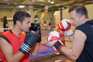 portrait of a young boxing student