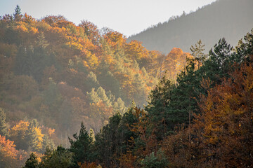 autumn in the mountains, Mala Fatra, Slovakia, Europe