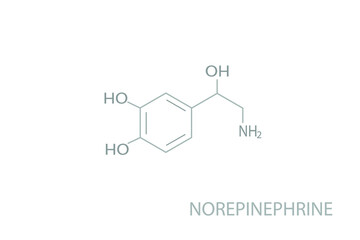 Norepinephrine molecular skeletal chemical formula.