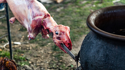 Whole sheep roasting on a spit
