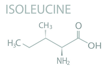 Isoleucine molecular skeletal chemical formula.