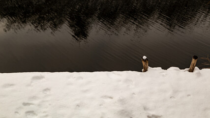 Rustic wooden pier on kanal cover with snow - obrazy, fototapety, plakaty