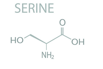 Serine molecular skeletal chemical formula.