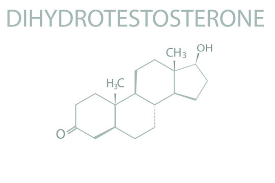 Dihydrotestosterone Bilder Durchsuchen 638 Archivfotos
