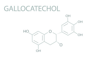 Gallocatechol molecular skeletal chemical formula.