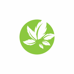 Leaf icon Vector Illustration design Logo template