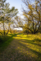 A trail through the woods in Autumn in the Upper Souris National Wildlife Refuge in North Dakota.