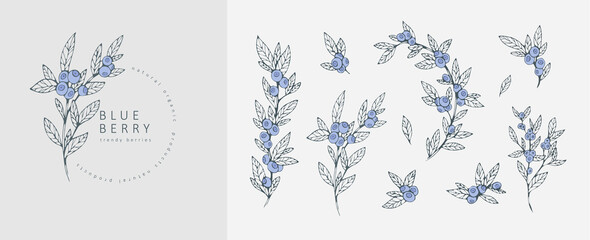 Blueberries logo and branch set. Hand drawn line wedding herb, elegant leaves for invitation save the date card. Botanical rustic trendy greenery