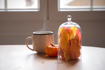 Table with cup of coffee or tea during autumn cold day. Table deco arrangement, colourful leaves and mini pumpkin. Autumn at home, cosy, lazy moody atmosphere. Leisure activities, relaxing at home.