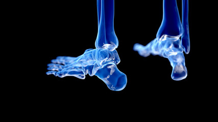 3d rendered illustration of the human ankle joint