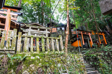 Many Japanese shrines in a lush green forest with orange torii gates and covered in moss.