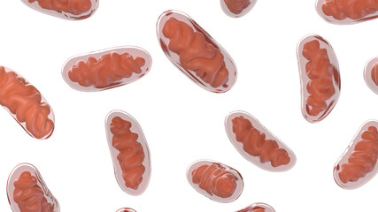 3d rendered illustration of mitochondria