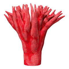 3D Rendering Coral on White © photosvac