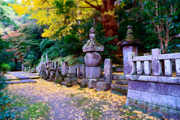 鎌倉の古寺、日蓮宗の本山の妙本寺の境内にたたずむ比企一族の供養塔