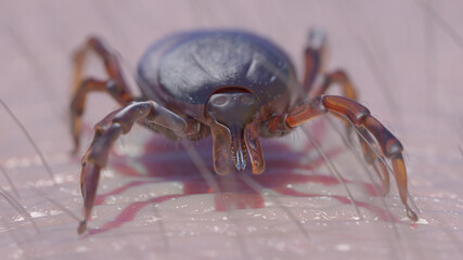 3d rendered illustration of a tick crawling on skin