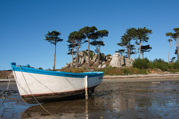 Naklejka na ściany i meble barque bleu blanc a la mer marée basse avec arbres en arrière plan