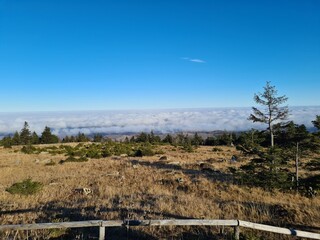 view from a mountain