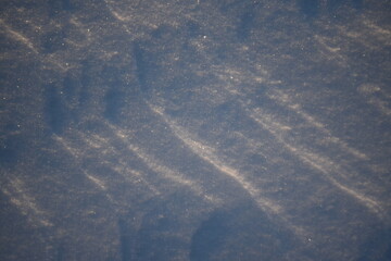 Snowy landscapes and snow close-up in sunbeams. Grass and objects in the snow.