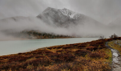 fog in the mountains