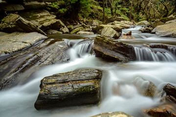 creek and waterfall