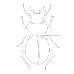 beetle, sketch drawing by one continuous line, vector, isolated