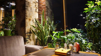 Sansevieria of evergreen perennial herbaceous plants in a cafe in a bar against a brick wall