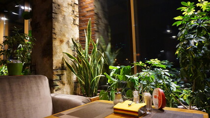 Sansevieria of evergreen perennial herbaceous plants in a cafe in a bar against a brick wall