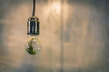 Fototapeta na wymiar Glass dusty light bulb in a vintage base hanging on an electrical wire