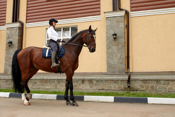 Beautiful young woman with horse outdoor. Concept of animal care. Rural rest and leisure. Idea of...