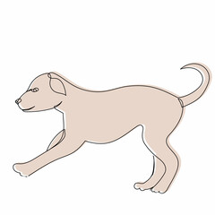 puppy, sketch, line drawing vector, isolated