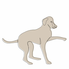 puppy sketch, line drawing vector, isolated