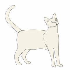 cat, sketch, line drawing isolated