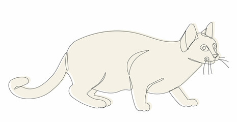 cat, sketch, line drawing vector, isolated