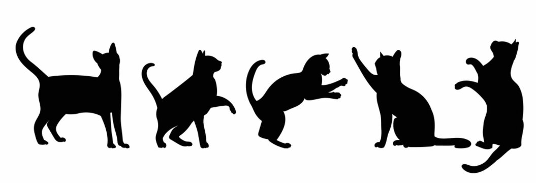 cats black silhouette, set, isolated, vector
