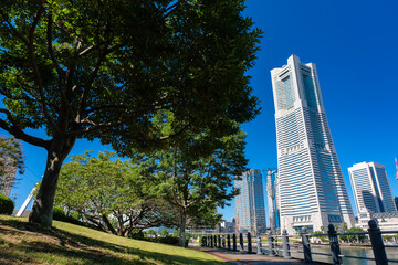 Obraz premium 神奈川県横浜市 汽車道とみなとみらいの街並み 